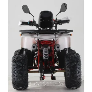 Квадроцикл FORTE ATV125F вигляд ззаду